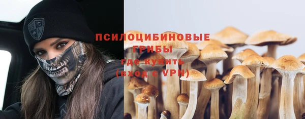 марихуана Новозыбков