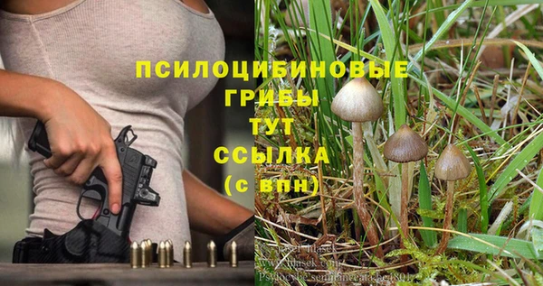 индика Нязепетровск