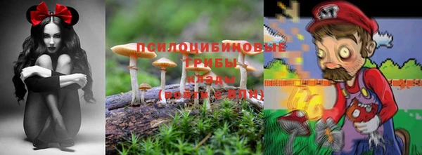 мяу мяу кристалл Новодвинск