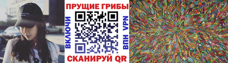 Псилоцибиновые грибы Psilocybine cubensis Кущёвская
